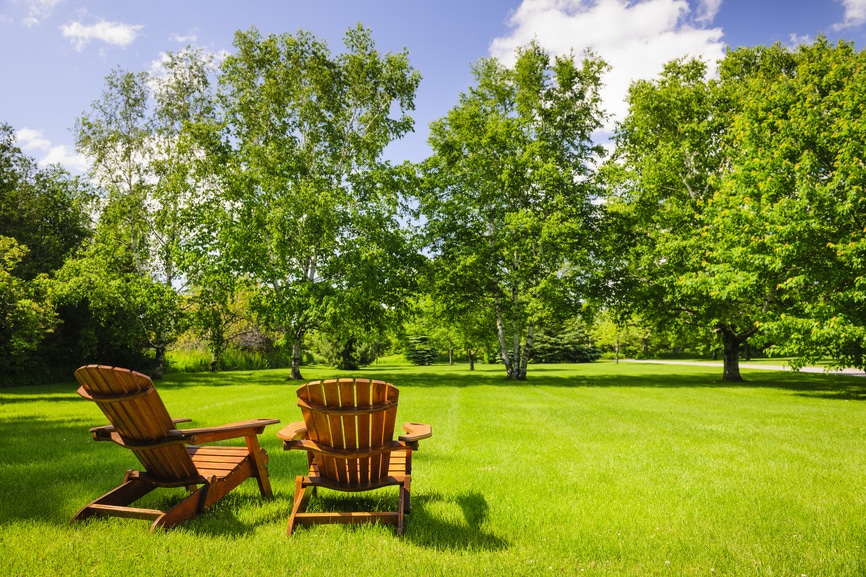 Zwei Sessel im Park auf einer grünen Wiese