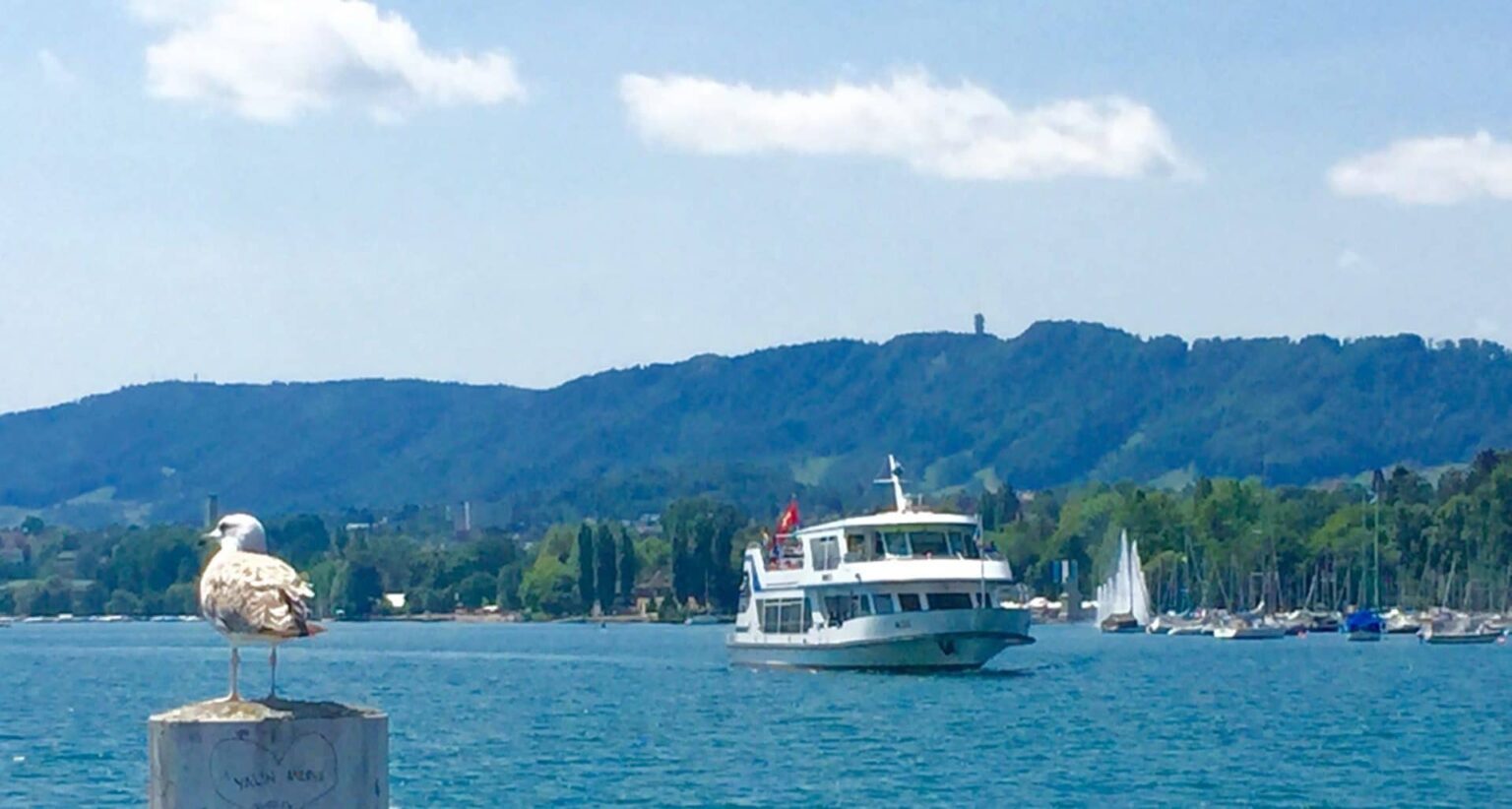 Zürichsee-Schiff nähert sich dem Steg