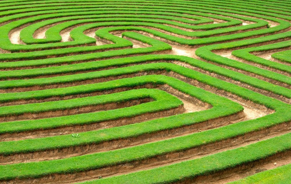 Grüne Rasenhecke in Labyrinthform