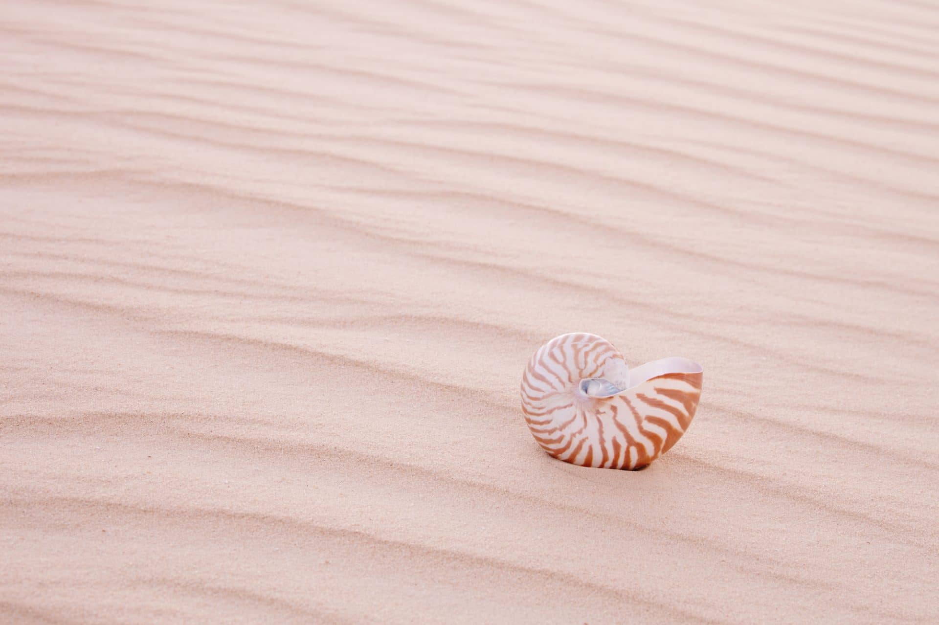 Depositphotos_9341063_l-2015 Depositphotos_9341063_l-2015