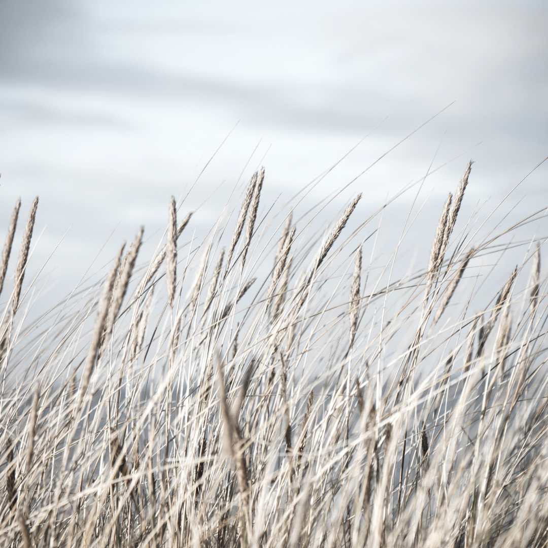 Sabina Hediger_Ueber mich